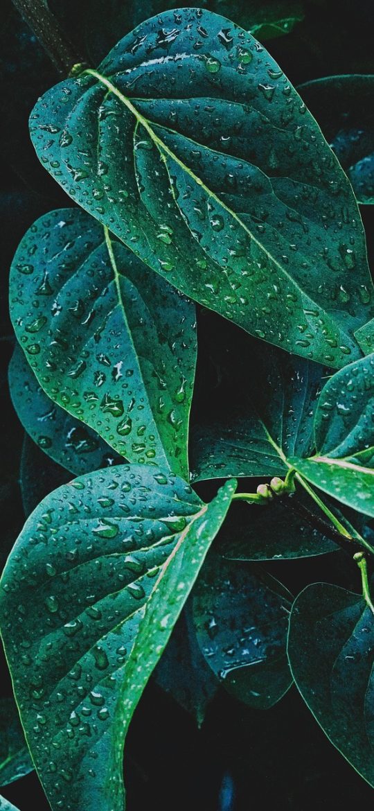 天气雷达 App 历史回放与图层设置界面，时间轴可手动拖动，下方是地形与路网图层开关列表，界面元素圆角柔和配色统一